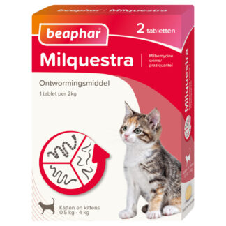 Ontwormen kat klein/kitten 0,5-4kg 2tabl ACTIE