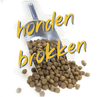 Brokken
