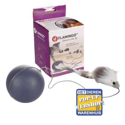 Kattenspeeltje - bewegende bal met muis