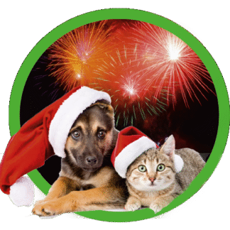 December - Geen feestdagenstress!