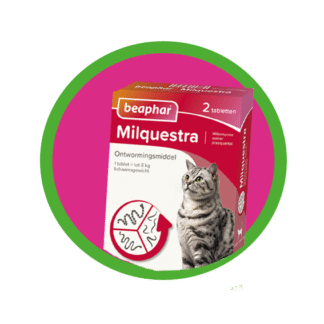 Katten Apotheek