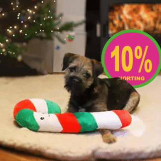 Pluche Candy Cane - hondenspeeltje